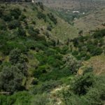Photo from Ioulis