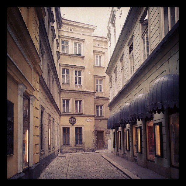 Photo of Vienna