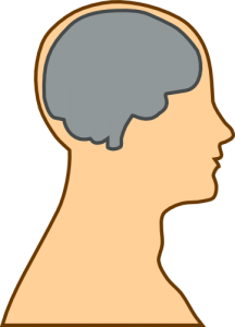 Brain (pd)