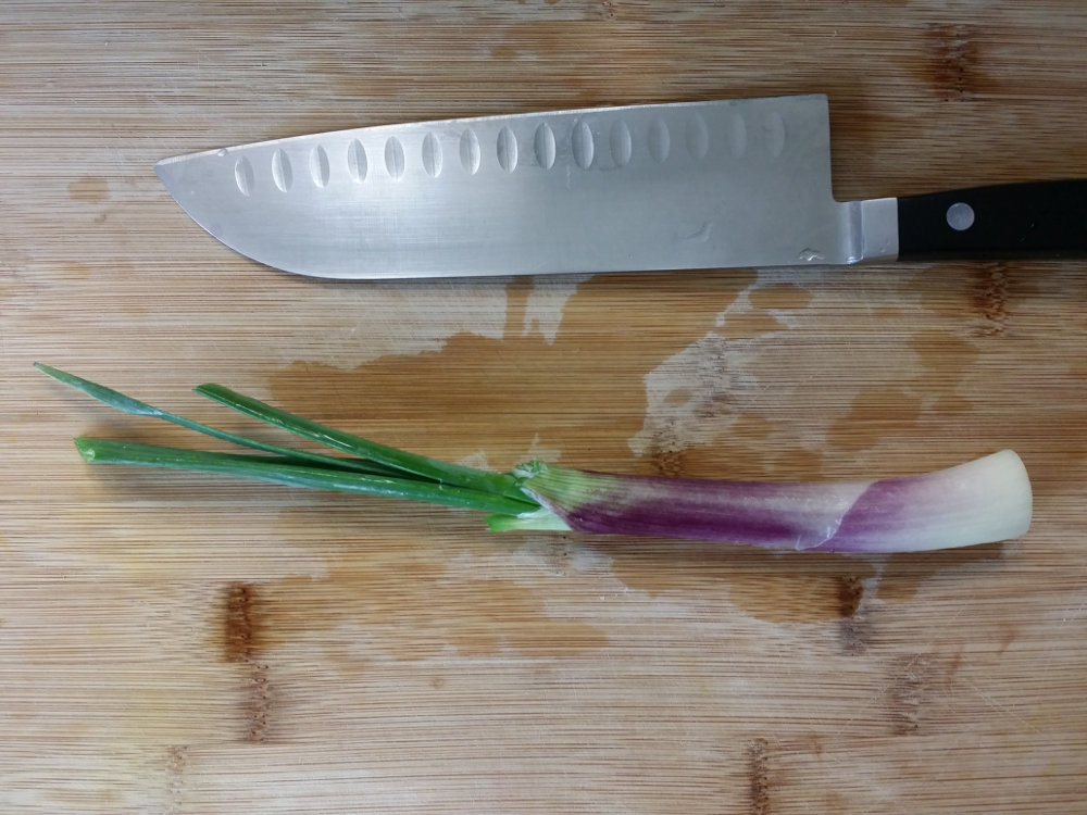 A red spring onion